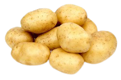 Frische Kartoffeln aus Deutschland