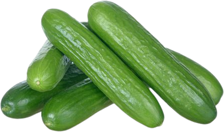 Frische Mini Gurken Frische Mini Gurken